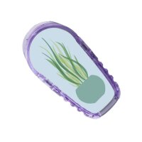 Dexcom G6 Sticker - 6er Set "Pflanzenliebe"